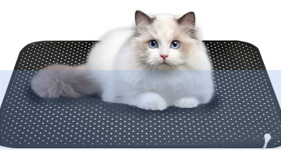 Opera Hamilton Reveals Best Earthing Bed Sheets and Grounding Mats for EMF Protection